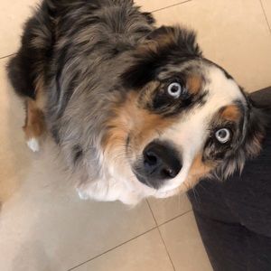 Meet your Posher, Colin